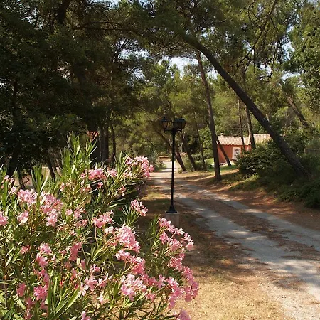 Holiday park Roque Blanc Villas